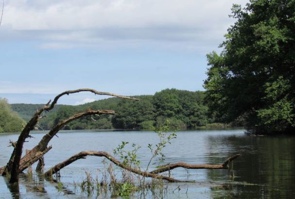 Le printemps des ENS à la retenue d’eau du Pont du Roi : les chants des oiseaux.